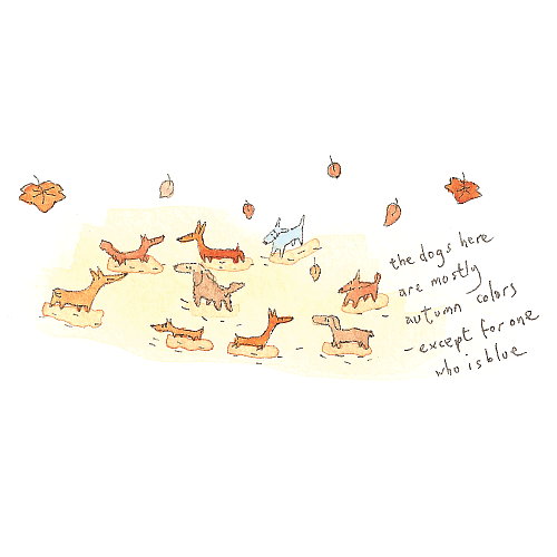 Blue dog among autumn dogs